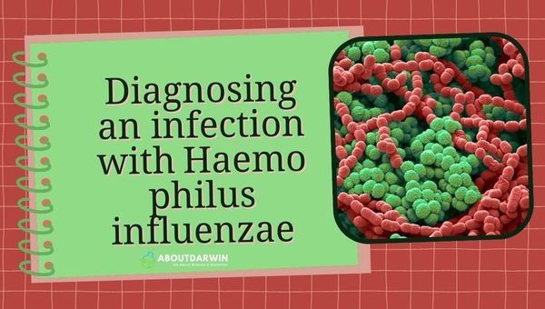 Diagnosing an infection with Haemophilus influenzae